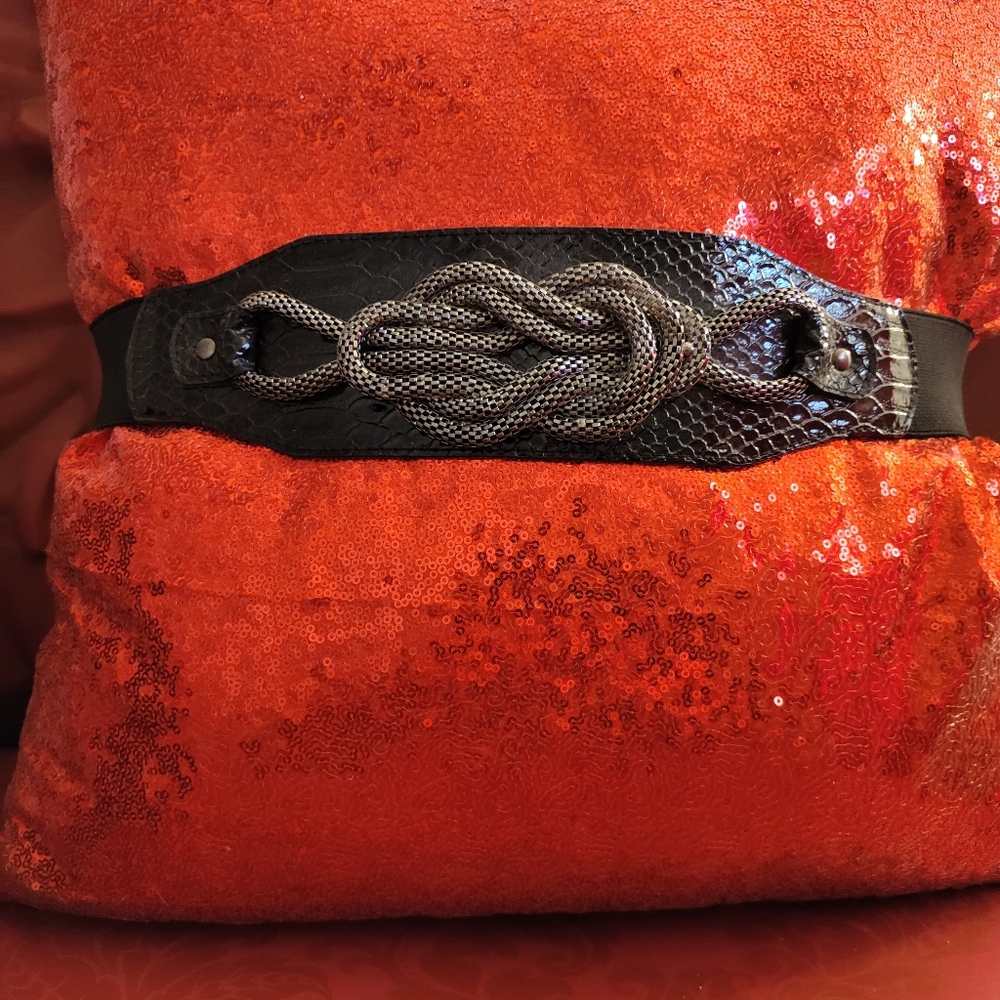 Lake Shore Drive Vintage Belt